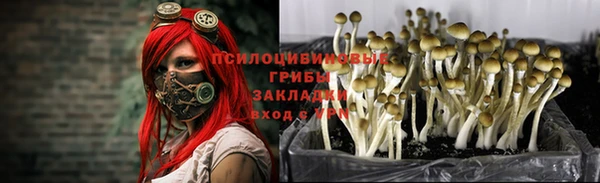 спайс Алзамай
