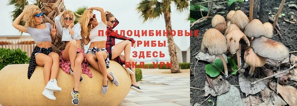 spice Абдулино