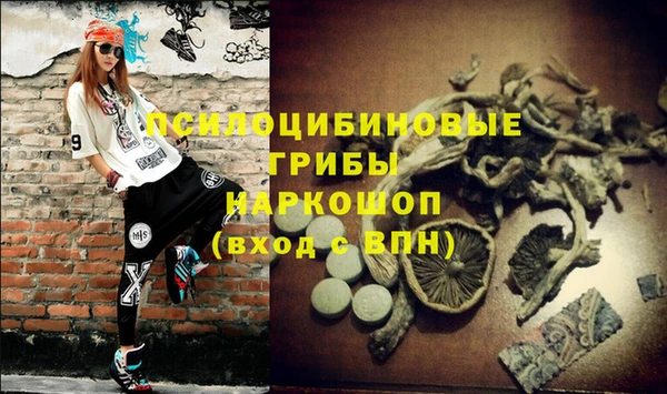 ECSTASY Абаза