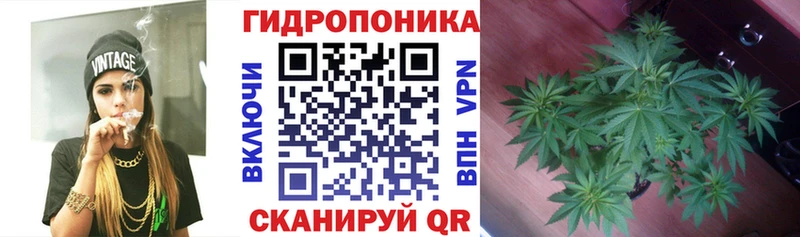 blacksprut tor  Юхнов  Шишки марихуана конопля  сколько стоит 